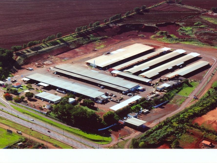 Ceasa Londrina Foto Ceasa