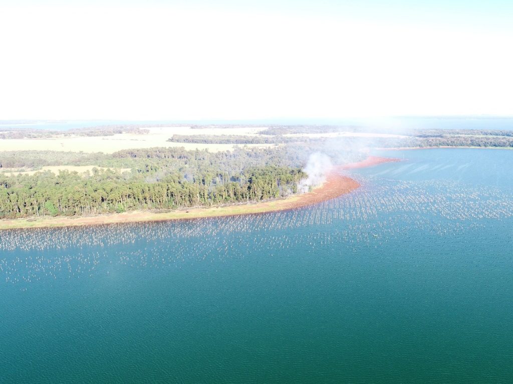 Brigada Florestal da Itaipu Binacional aumentou em 30% o número de atendimentos em 2020. Veja fotos! 3 38819806 a958 4739 903e ec3c48238d82 1