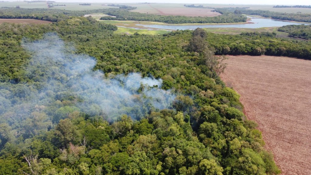 Brigada Florestal da Itaipu Binacional aumentou em 30% o número de atendimentos em 2020. Veja fotos! 2 WhatsApp Image 2021 01 29 at 11.11.21