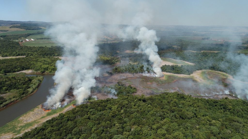 Brigada Florestal da Itaipu Binacional aumentou em 30% o número de atendimentos em 2020. Veja fotos! 4 b1608de8 e2e1 42e7 967a 487c1cc72f7d