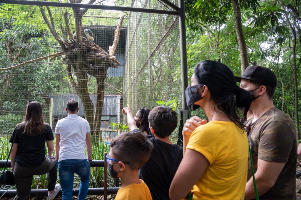 Refúgio da Itaipu é opção segura de passeio para turistas neste Carnaval em Foz do Iguaçu 3 passeio refugio 4
