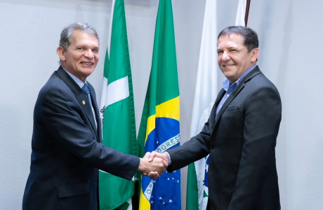silva e luna chico brasileiro