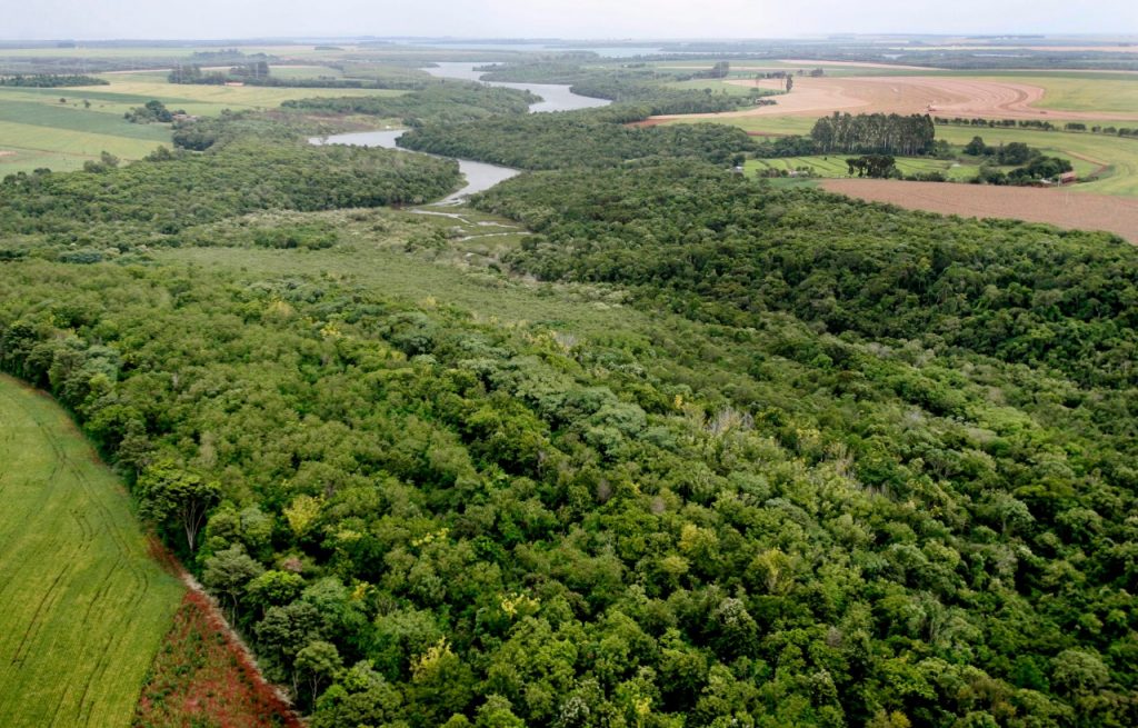 Corredor Ecológico no Paraná completa 20 anos como referência de preservação ambiental 4 corredor ecologico 2