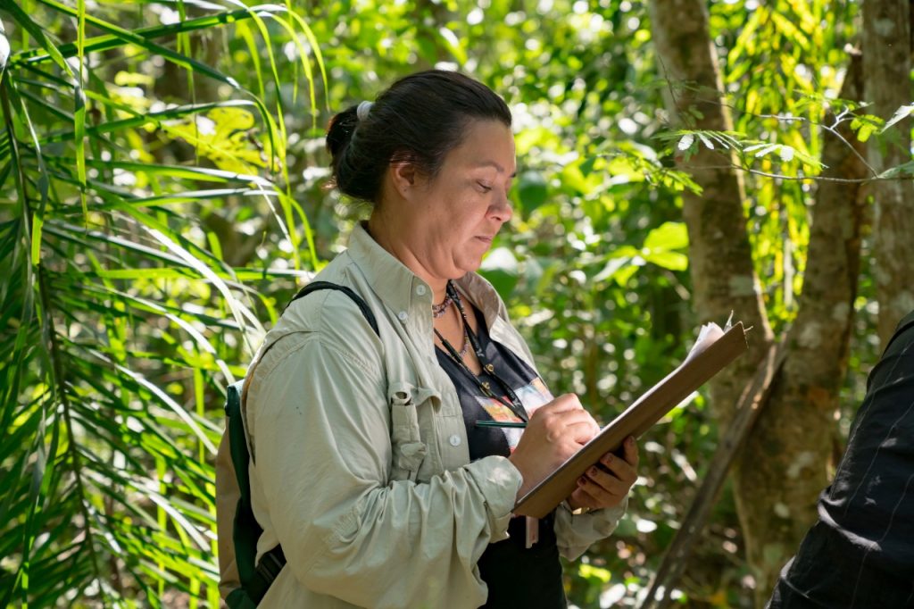 Corredor Ecológico no Paraná completa 20 anos como referência de preservação ambiental 2 corredor ecologico 3