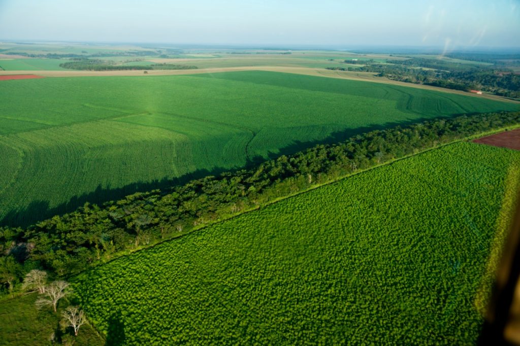Corredor Ecológico no Paraná completa 20 anos como referência de preservação ambiental 3 corredor ecologico 4