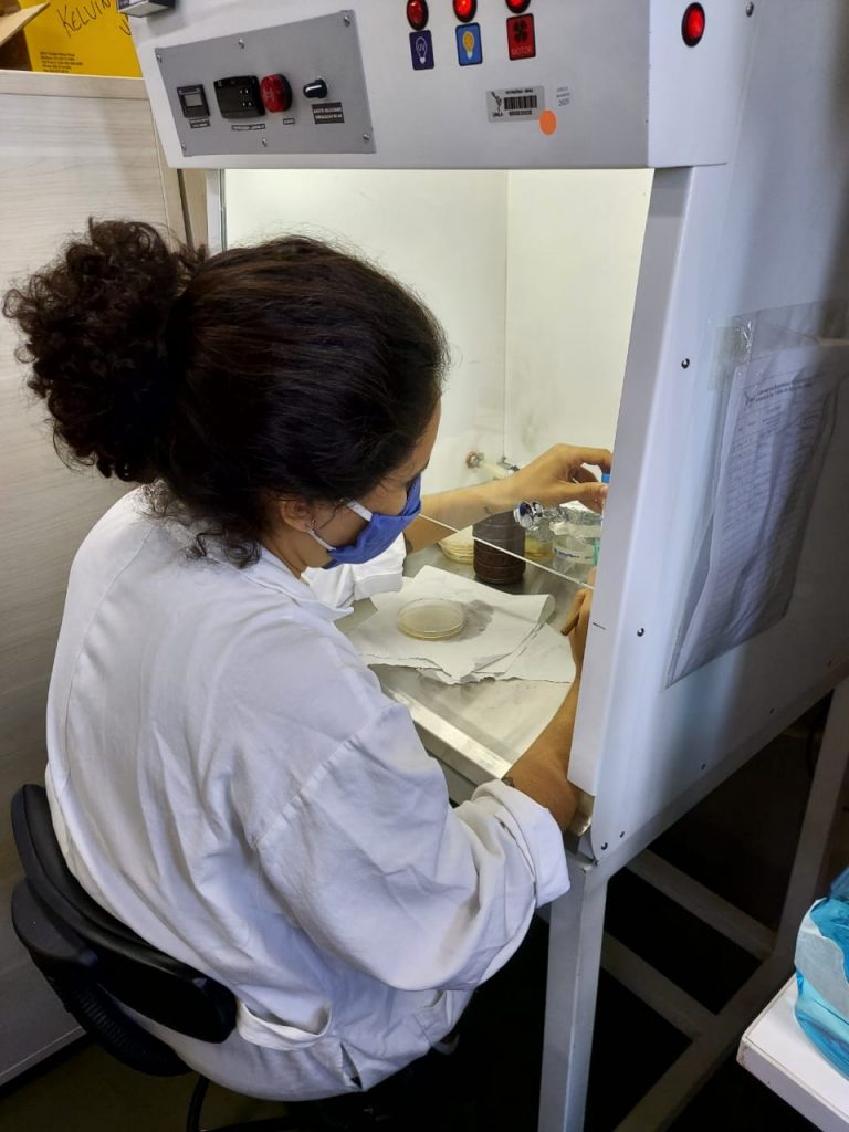 Time de estudantes da Unila realiza pesquisa na área de biologia sintética, para o combate da leishmaniose 1 laboratorio 1
