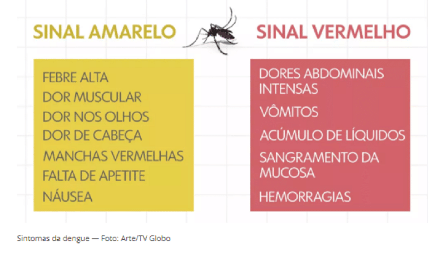 Paraná confirma cinco novos casos de chikungunya e mais 1.289 casos de dengue em uma semana, diz Sesa 2 dengue