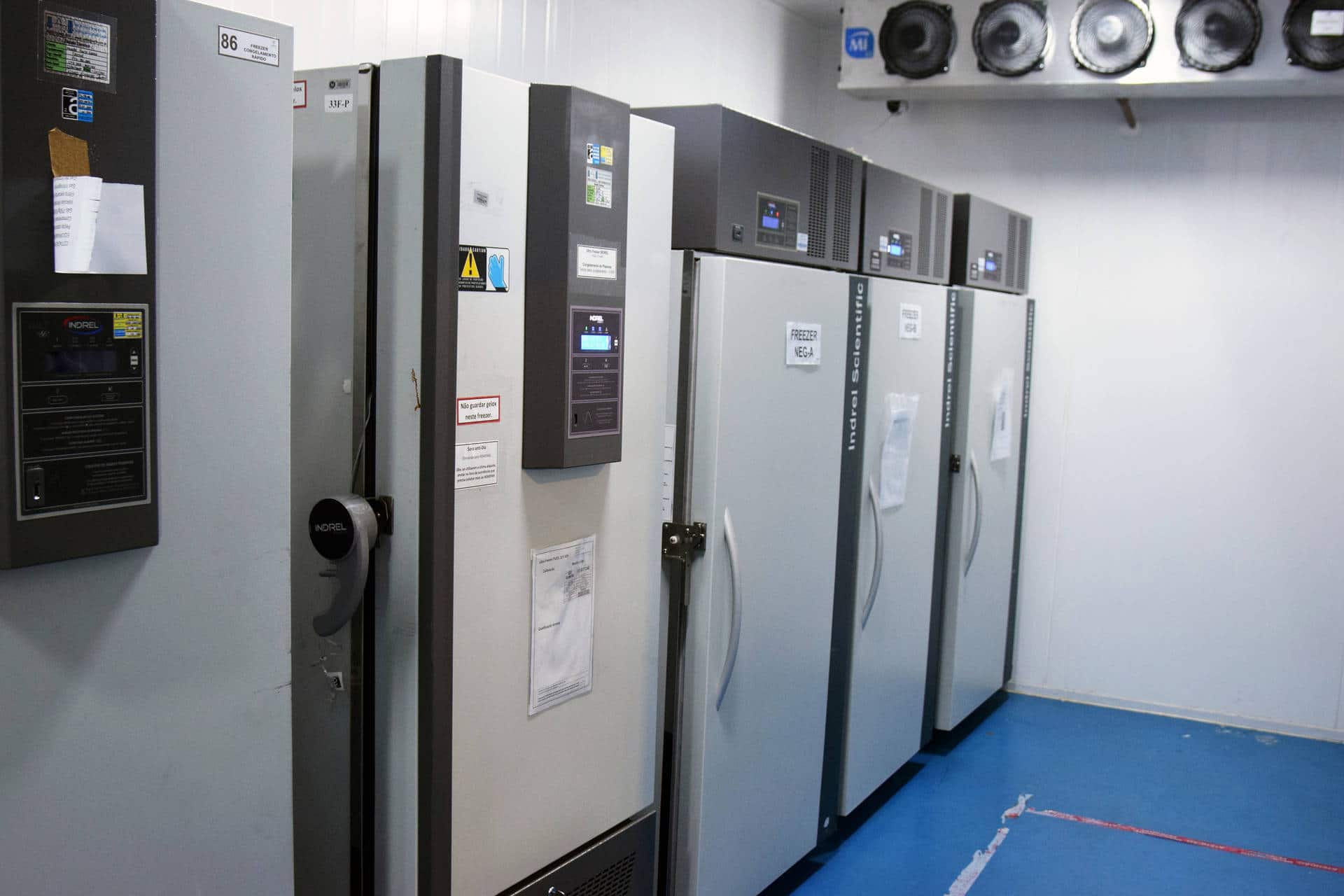 freezers governo