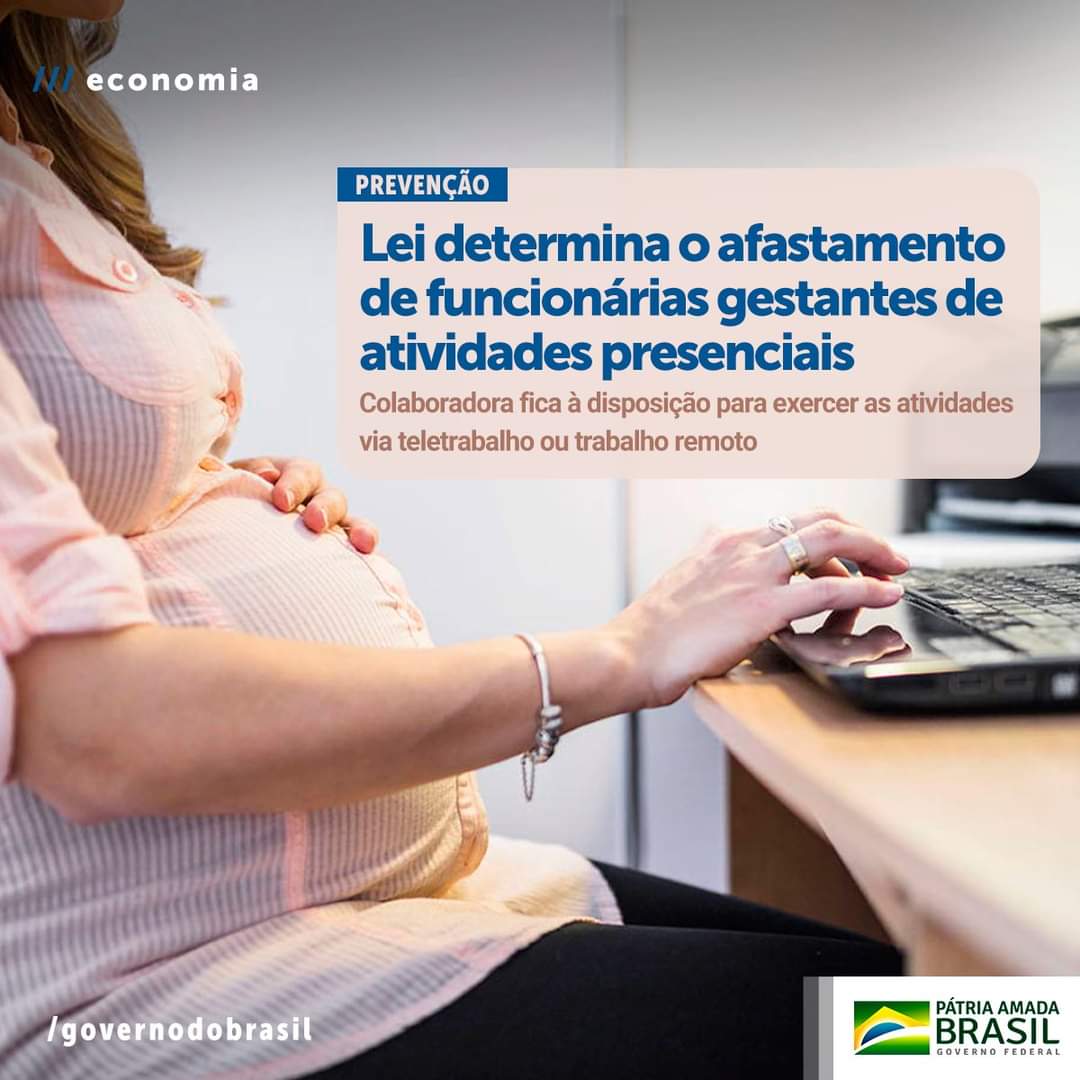 lei gravida