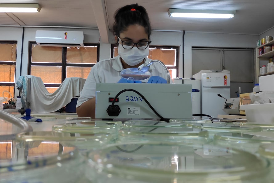 Mestranda da Unioeste de Marechal Cândido Rondon conquista prêmio em evento para mulheres cientistas 1 mestrada na unioeste 1