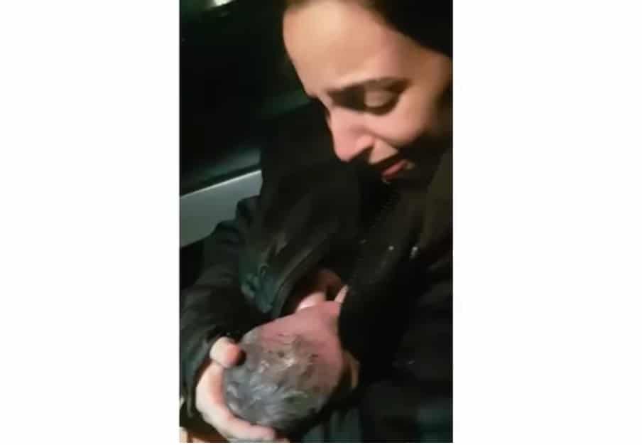bebe no carr