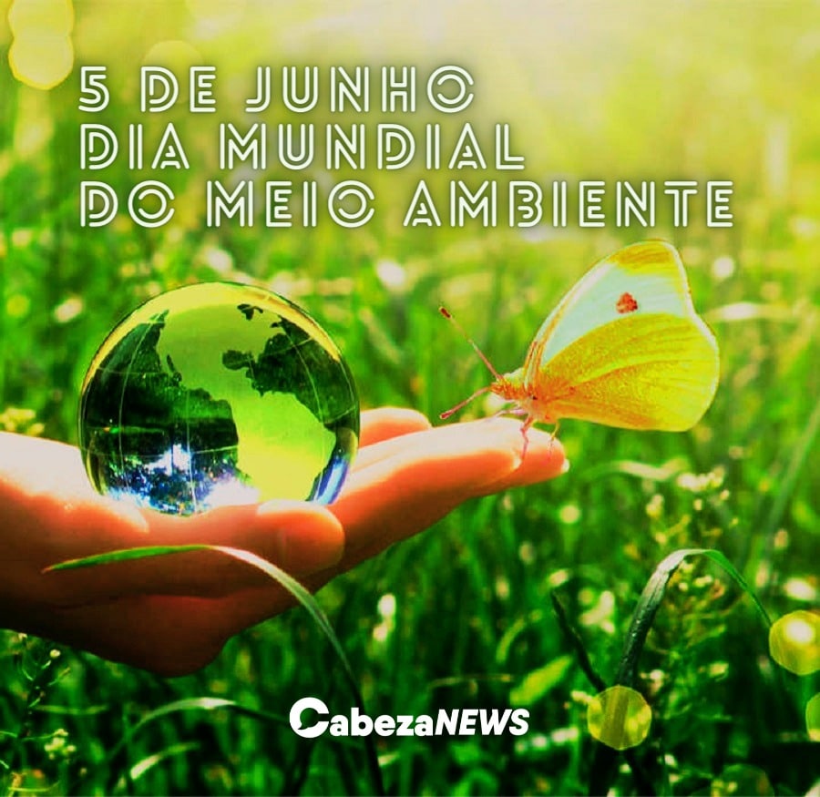 dia mundial do meio ambiente