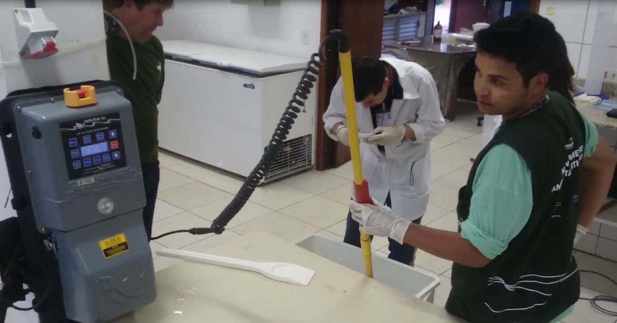 itaipu peixe 2 1