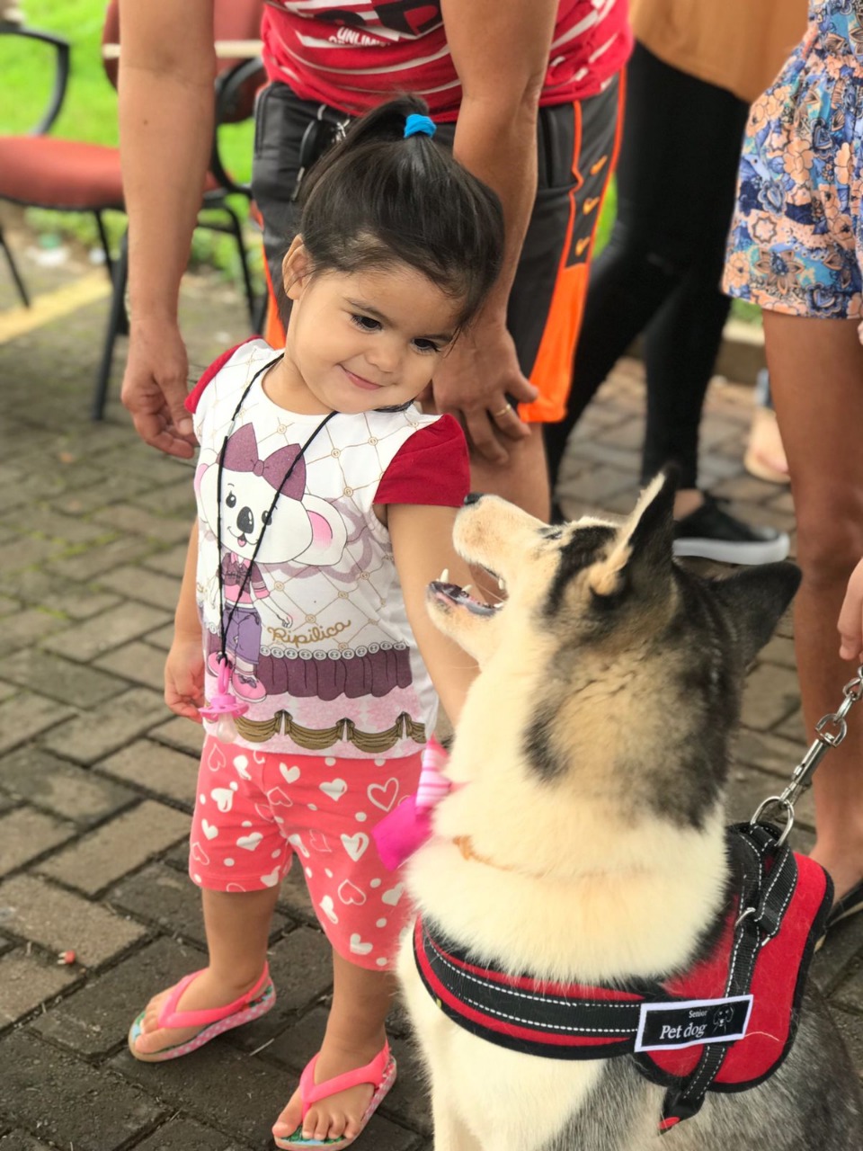 doggg