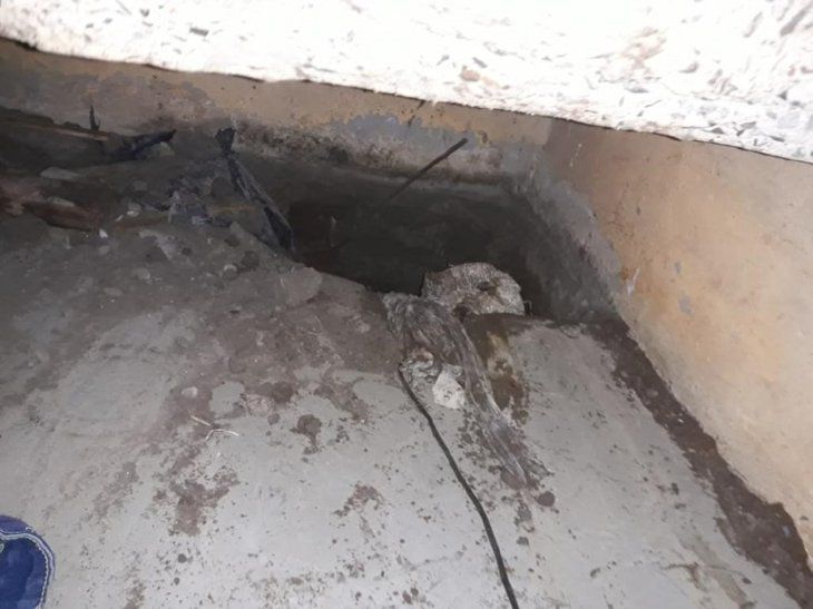 el tunelcion