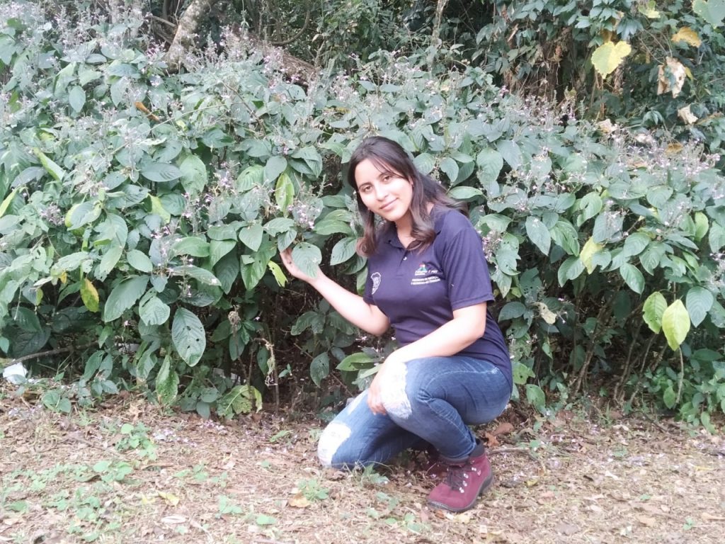 Programa de jovem aprendiz da Itaipu já transformou a vida de mais de seis mil pessoas 2 menor aprendir