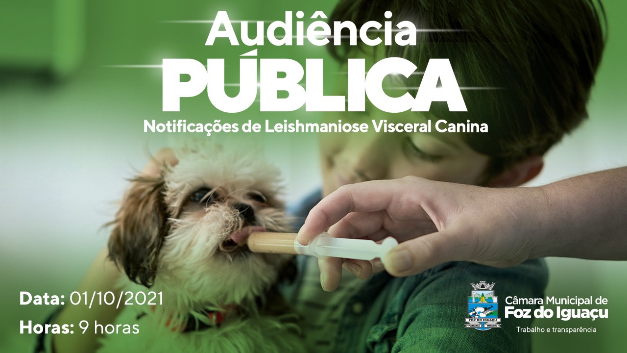 audiencia lestio