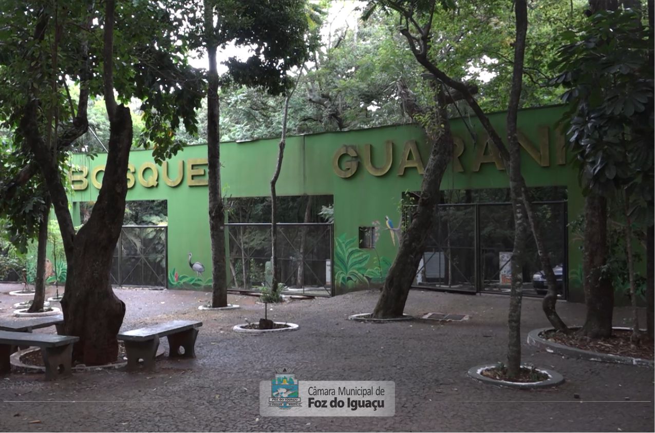 bosque guarani