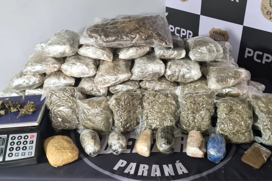 Polícia Civil do Paraná apreende quase 1,5 tonelada de maconha no Centro de Curitiba 1 drogas