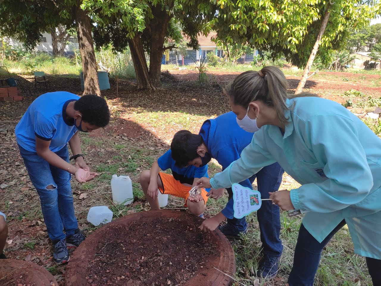 plantacao 1
