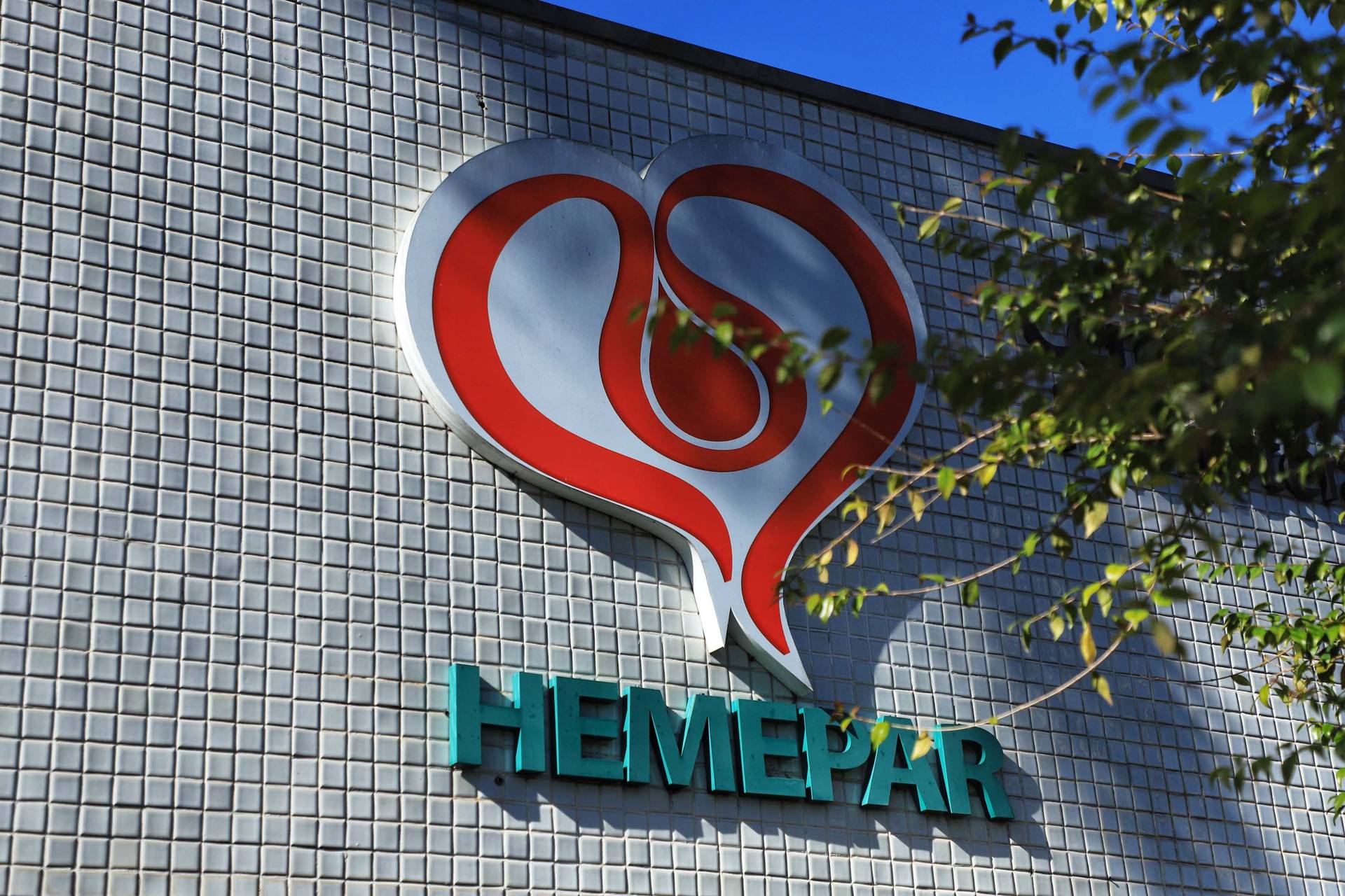 hemeparrr