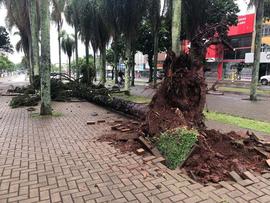 temporal