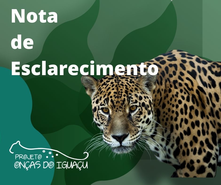 nota de esclarecimento
