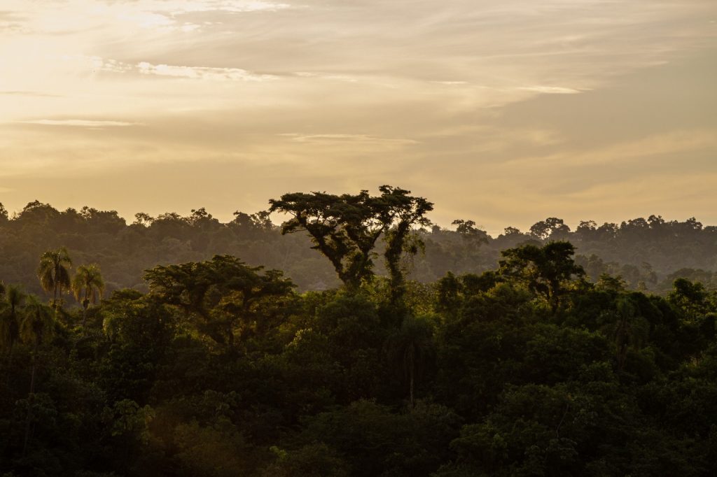 Parque Nacional do Iguaçu é fonte e estímulo para o estudo científico 5 parque e estudos 3
