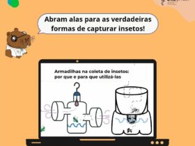 Foto 03 Ecologia e Saude