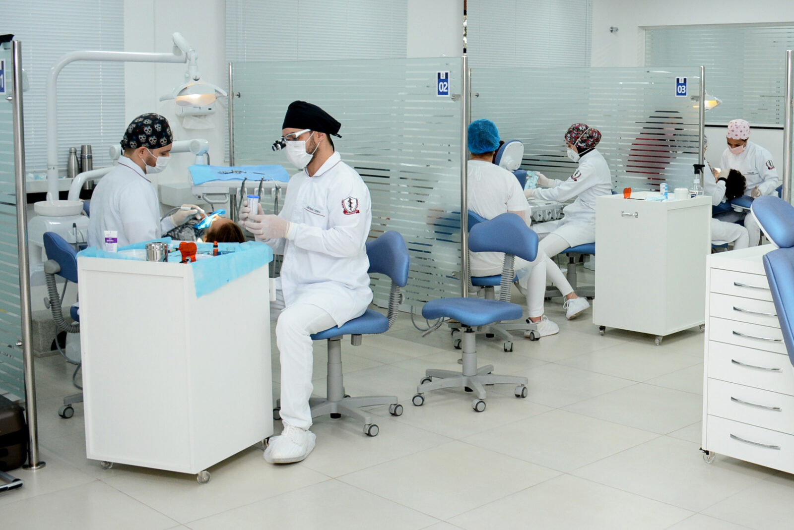Odontologia