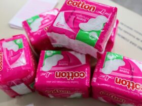 absorvente intimo