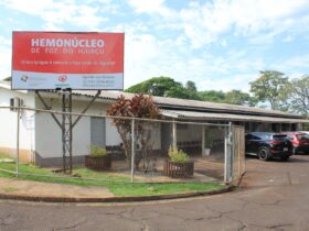 hemonucleo 1
