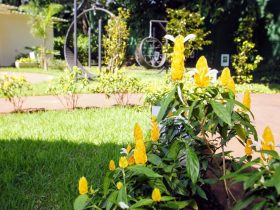 jardim 2