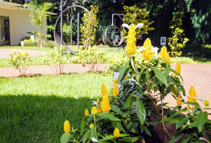 jardim 2