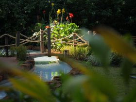 jardim 3