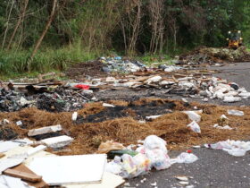meio ambiente 324