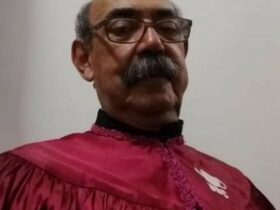 professor de direito udc
