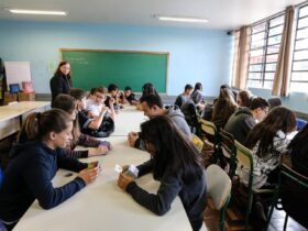 pss professores