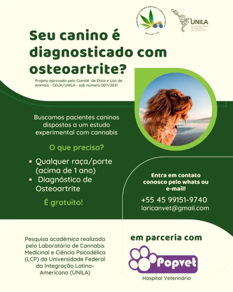 Estudo da UNILA vai avaliar efeito do extrato de cannabis em cães com Osteoartrite 2 teste caes