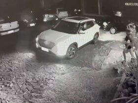 assassino petista