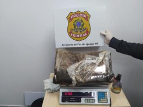 cocaina 43352 e1661954244294