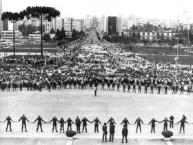 educadores 3424