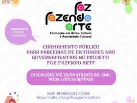 foz faz arte 535