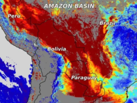 amazonas 25