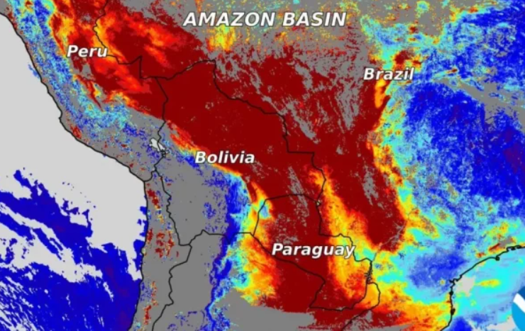 amazonas 25