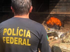 policia 2r525r