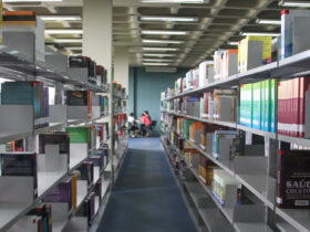 unila 24