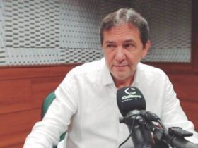 chicio 43
