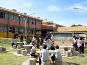 escolas 24