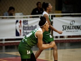 foz basquete 425